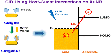 Graphical abstract: Thiolated β-cyclodextrin-based host–guest interactions: investigating and tuning chemical interface damping in single gold nanorods