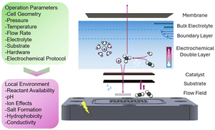 Graphical abstract: Reactor operating parameters and their effects on the local reaction environment of CO(2) electroreduction