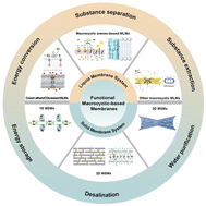 Graphical abstract: Macrocyclic membranes: from liquid to solid state