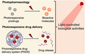 Graphical abstract: Photopharmacology and photoresponsive drug delivery