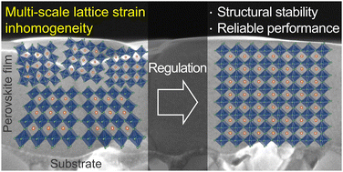 Graphical abstract: Lattice strain inhomogeneity in halide perovskite films: its origins and regulations