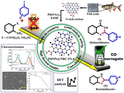 Graphical abstract: Efficient and green: biowaste-derived N-rich carbon for palladium-catalyzed CO gas-free carbonylative annulation with DFT insights