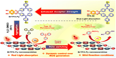 Graphical abstract: Minimizing radiative and nonradiative energy leakage in red-light-absorbing supramolecular nanoassemblies to boost oxidative photocatalytic activity in water
