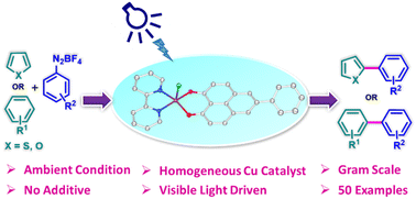 Graphical abstract: Highly efficient phenalenyl–copper bifunctional photoredox catalyst for direct C–H bond arylation of arenes and heteroarenes