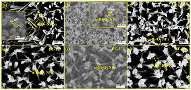 Graphical abstract: Insights into S-scheme charge transfer in α-Bi2O3/TiO2-NRA nanoheterostructures for enhanced photodegradation and biosensing applications
