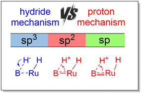 Graphical abstract: The critical role of boron hybridization (sp3 vs. sp2 vs. sp) in hydrogenation mechanisms by boron-based Ru catalysts