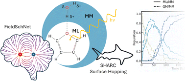 Graphical abstract: Excited-state nonadiabatic dynamics in explicit solvent using machine learned interatomic potentials
