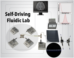 Graphical abstract: A self-driving fluidic lab for data-driven synthesis of lead-free perovskite nanocrystals