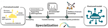 Graphical abstract: Enhancing automated drug substance impurity structure elucidation from tandem mass spectra through transfer learning and domain knowledge