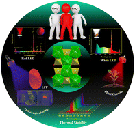 Graphical abstract: Highly efficient red/orange-red emitting Eu3+ and Sm3+/Eu3+ co-doped phosphors with their versatile applications