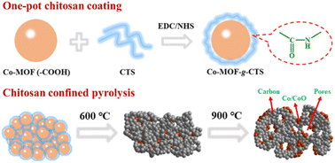 Graphical abstract: The chitosan confined pyrolysis strategy enhances the catalytic performance of a carbon material based on a novel carboxyl functionalized MOF