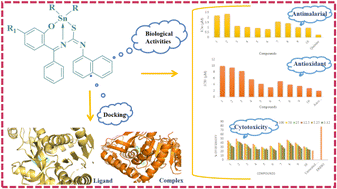 Graphical abstract: Synthesis, characterization and bioactivity of diorganotin(iv) Schiff base complexes as potential antimalarial and antioxidant agents: insights through cytotoxicity and molecular docking studies