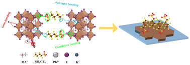 Graphical abstract: Rationally tailored passivator with multisite surface-anchors for suppressing ion migration toward air-stable perovskite solar cells
