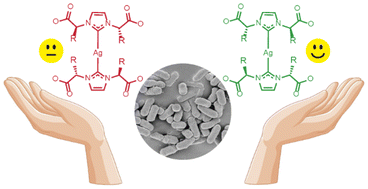 Graphical abstract: Chirality in metal-based antimicrobial agents: a growing frontier in biomedical research