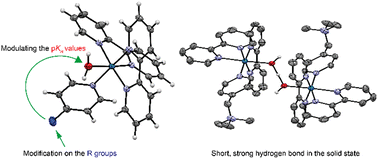 Graphical abstract: Synthesis of [Os(bpy)2(py)(OH2)](PF6)x substituted pyridine complexes; characterization of a singly bridged H3O2− ligand
