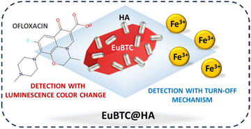 Graphical abstract: A novel luminescent EuBTC@HA composite with dual sensing properties