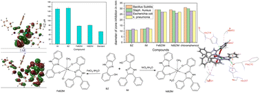 Graphical abstract: Fe(iii) and Ni(ii) imidazole-benzimidazole mixed-ligand complexes: synthesis, structural characterization, molecular docking, DFT studies, and evaluation of antimicrobial and anti-inflammatory activities