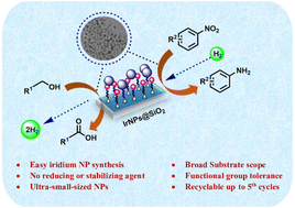 Graphical abstract: Phosphine-assisted synthesis of a nanostructured iridium catalyst for acceptorless dehydrogenation of alcohols and chemoselective hydrogenation of nitroarenes
