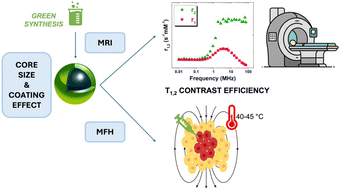 Graphical abstract: Iron oxide nanospheres: dual functionality as MRI contrast agents and magnetic fluid hyperthermia therapeutics