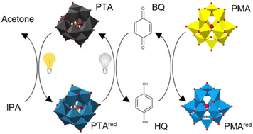 Graphical abstract: Photoinduced electron transfer cascade between Mo- and W-based polyoxometalates