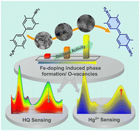 Graphical abstract: MOF-derived Fe-doped δ-MnO2 nanoflowers as oxidase mimics: chromogenic sensing of Hg(ii) and hydroquinone in aqueous media