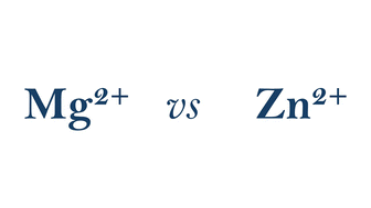Graphical abstract: Isostructural Mg and Zn compounds: analogies and differences in reactivity