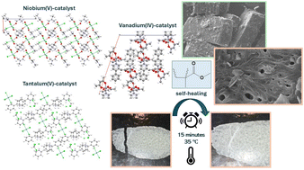 Graphical abstract: Nb(v), Ta(v), and V(iv) catalyst-driven development of temperature-responsive self-healing materials based on methyl methacrylate