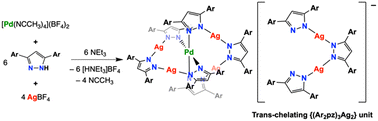 Graphical abstract: Heteropolynuclear PdAg4 complexes with self-assembled trans-chelating {(Ar2pz)3Ag2} units