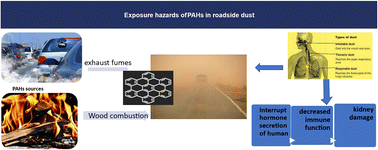 Graphical abstract: Exposure and comparative risk assessment of PAHs in dust from roadside solid surfaces in three semiurban areas of Eastern Nigeria