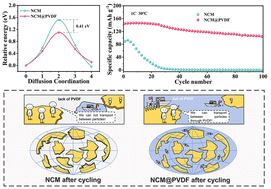 Graphical abstract: Dual-functional Li+ diffusion network in high-nickel cathodes for solid-state Li metal batteries