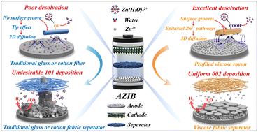 Graphical abstract: Reconfiguring Zn deposition dynamics via an epitaxial Zn2+ pathway in profiled viscose rayon for long-cyclability zinc-ion batteries
