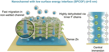 Graphical abstract: Developing low-resistance ion migration pathways using perfluorinated chain-decorated COFs for enhanced performance in zinc batteries