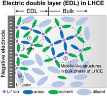 Graphical abstract: Revealing heterogeneous electric double layer (EDL) structures of localized high-concentration electrolytes (LHCEs) and their impact on solid–electrolyte interphase (SEI) formation in lithium batteries