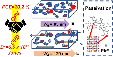 Graphical abstract: CsPbI2Br quantum dots integration for high performance organic photovoltaics and photodetectors