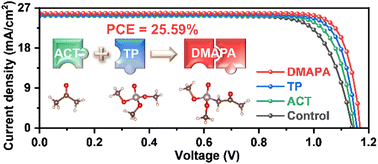 Graphical abstract: Molecular integration of Lewis bases for efficient and stable inverted perovskite solar cells