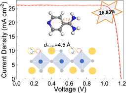 Graphical abstract: Dual-site passivation by heterocycle functionalized amidinium cations toward high-performance inverted perovskite solar cells and modules