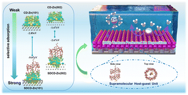 Graphical abstract: Synergistically enhancing the selective adsorption for crystal planes to regulate the (002)-texture preferred Zn deposition via supramolecular host–guest units
