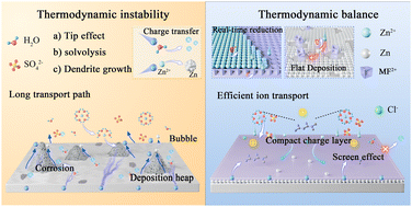 Graphical abstract: Compacting surface charge layers for efficient charge transfer toward stable Zn anodes