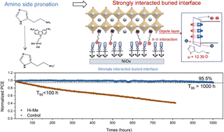 Graphical abstract: Design of strong and weak intermolecular interactions to engineer buried interfaces in inverted wide-bandgap perovskite solar cells