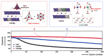 Graphical abstract: Mitigating chemo-mechanical heterogeneity of Ni-rich layered cathodes through the regulated medium-range order by doping