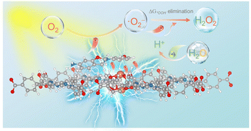 Graphical abstract: Enhanced redox kinetics for hydrogen peroxide photosynthesis at high-concentration by encapsulating porphyrin metal–organic frameworks with phenolic resin