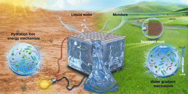 Graphical abstract: Harnessing dual forms of water energy for all-weather high-performance electricity generation using amorphous slurry