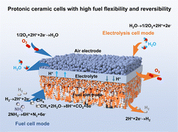 Graphical abstract: Tailoring the structural durability and proton conductivity of electrolytes for highly fuel-flexible and reversible ceramic cells