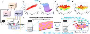 Graphical abstract: Insight into the corrosion microcell and passivation mechanisms of a Zn anode for aqueous zinc-ion batteries