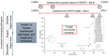 Graphical abstract: Fungi as an emerging waterborne health concern: impact of treated wastewater discharge versus aerosolization
