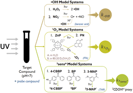Graphical abstract: Comparing photodegradation model systems: measuring bimolecular rate constants between photochemically produced reactive intermediates and organic contaminants