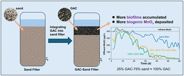 Graphical abstract: Integrating activated carbon into conventional sand filtration boosts biological Mn(ii) removal efficiency