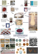 Graphical abstract: Optimization of a novel probiotic-fermented pearl millet-based strained yoghurt-like functional dessert: physicochemical, microbial and sensory characterization