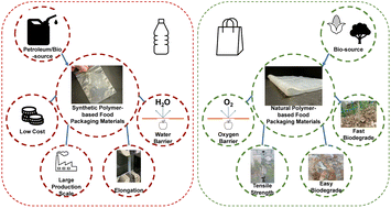 Graphical abstract: Natural polymer-based food packaging: paving the way to a greener future – a review
