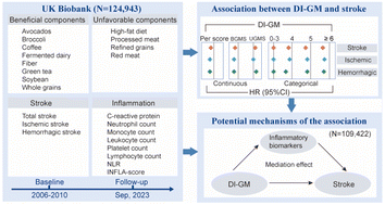 Graphical abstract: Associations between dietary index for gut microbiota and stroke, and the mediating role of inflammation: a prospective cohort study